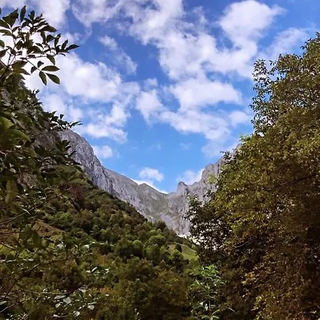 De Vandrerhjem Bulnes